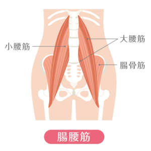 腸腰筋